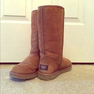 Tall Chesnut Uggs