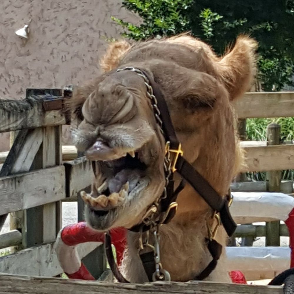Meet your Posher, Catherine