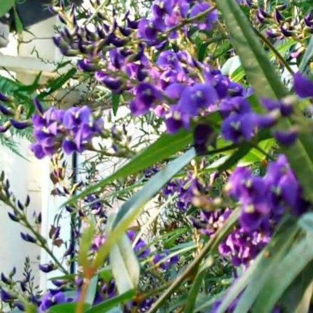 Meet your Posher, Marie