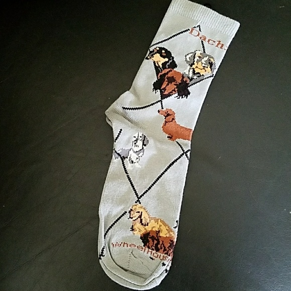 New Dachshund socks - Picture 4 of 6