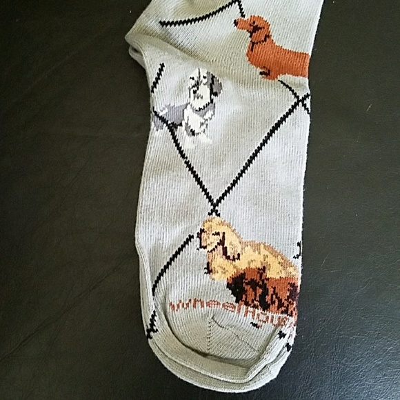 New Dachshund socks - Picture 6 of 6