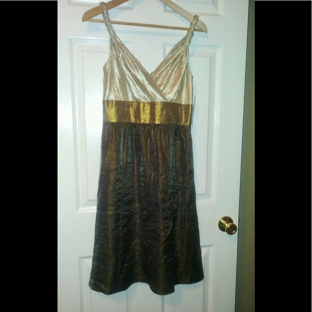 Adrianna Papell Cocktail Dress