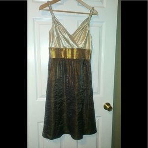 Adrianna Papell Cocktail Dress