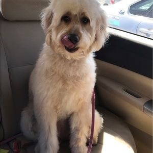 Meet your Posher, Emily