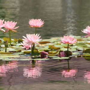 Meet your Posher, Claudia