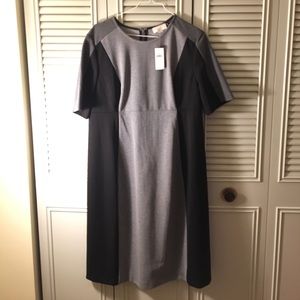 Loft Maternity Dress