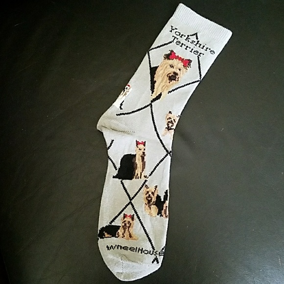 New Yorkshire Terrier socks - Picture 4 of 6