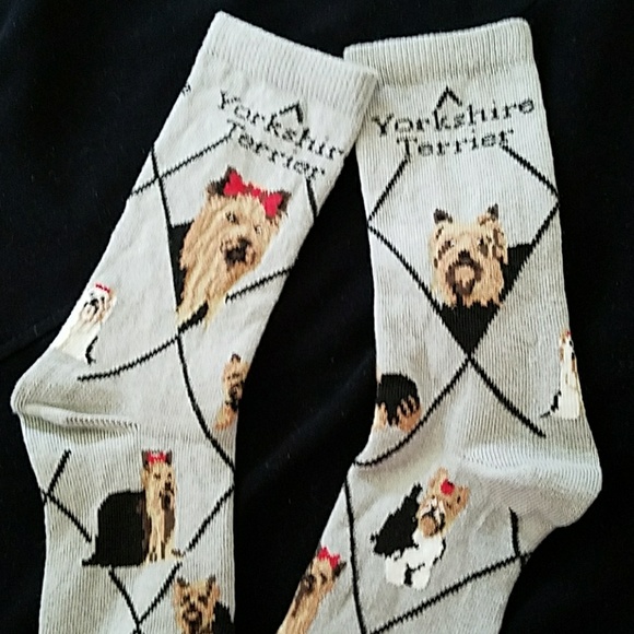New Yorkshire Terrier socks - Picture 5 of 6