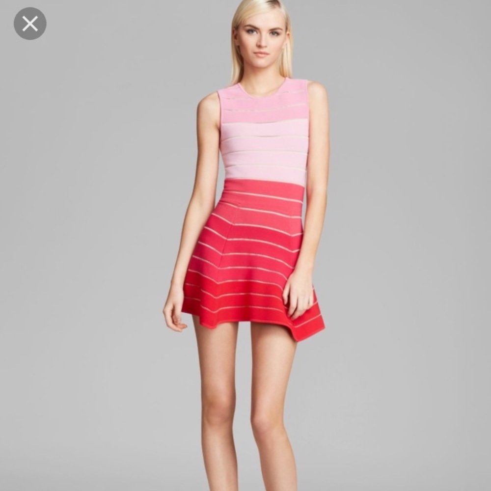 Torn by Ronny kobo dress
