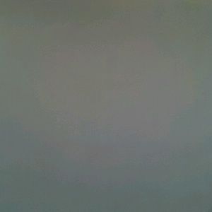 Meet your Posher, Joey