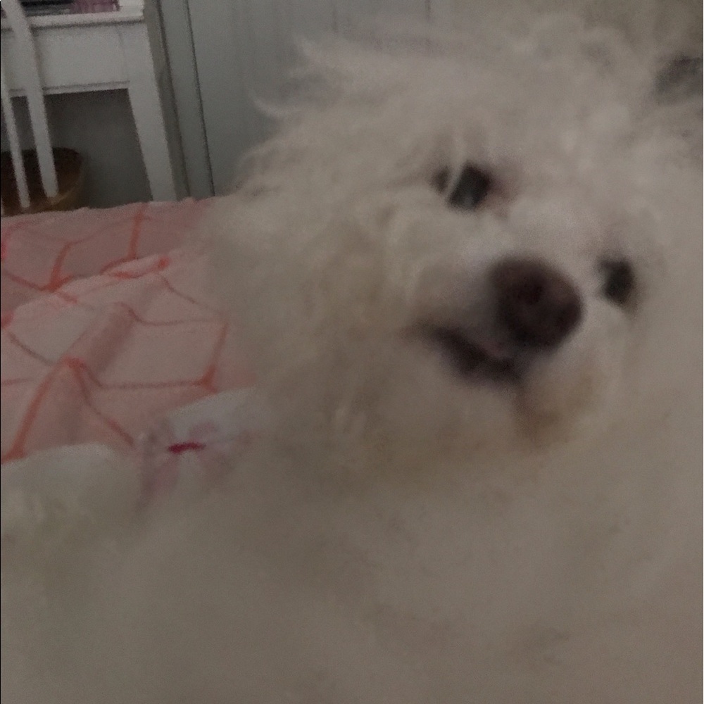 Meet your Posher, Kamile