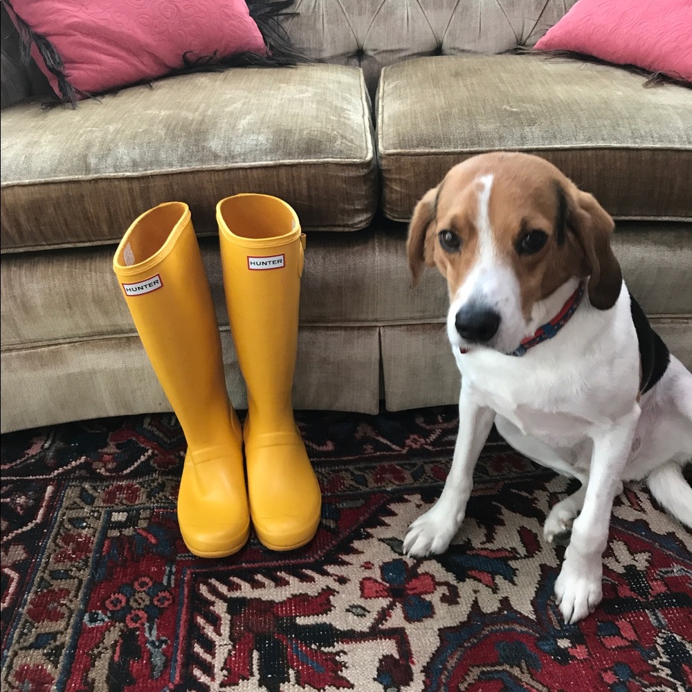 Hunter Packable Rainboots