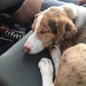 Meet your Posher, John