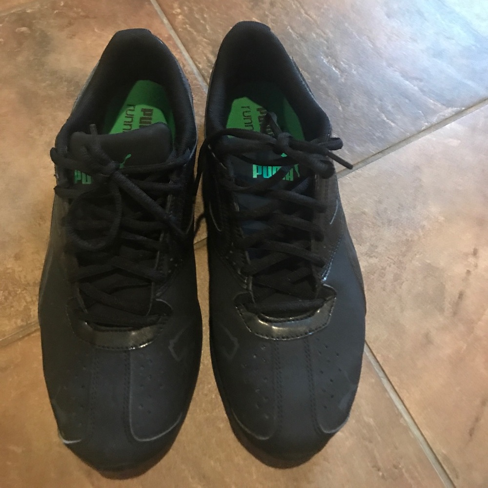 Black puma