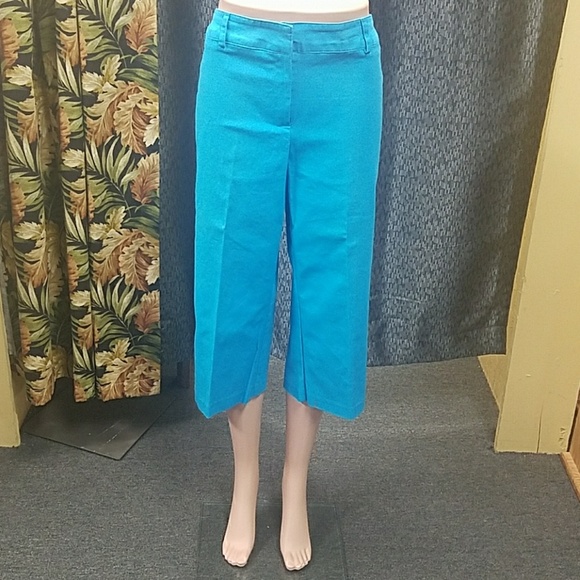 Briggs Pants - Briggs capris. Size 14
