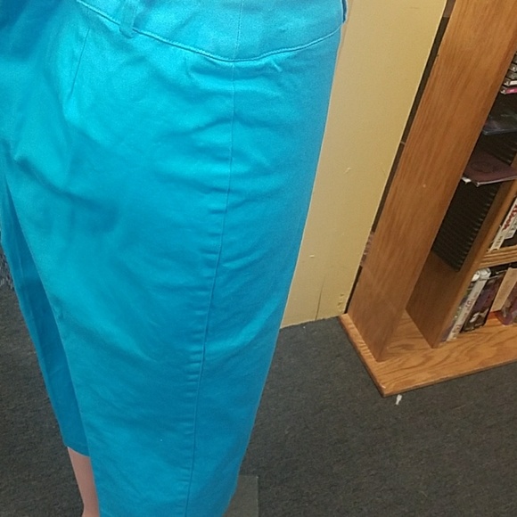 Briggs capris. Size 14 - Picture 2 of 7