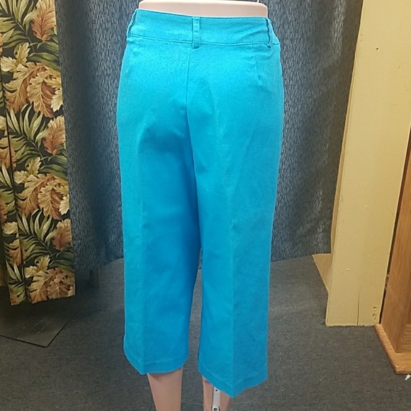 Briggs capris. Size 14 - Picture 3 of 7