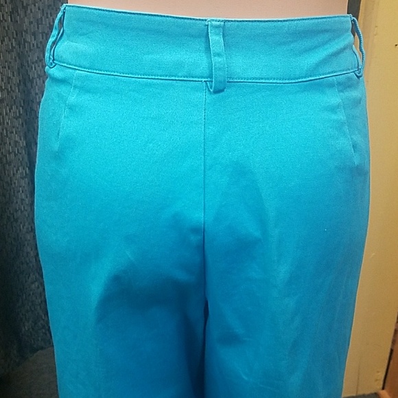 Briggs capris. Size 14 - Picture 4 of 7