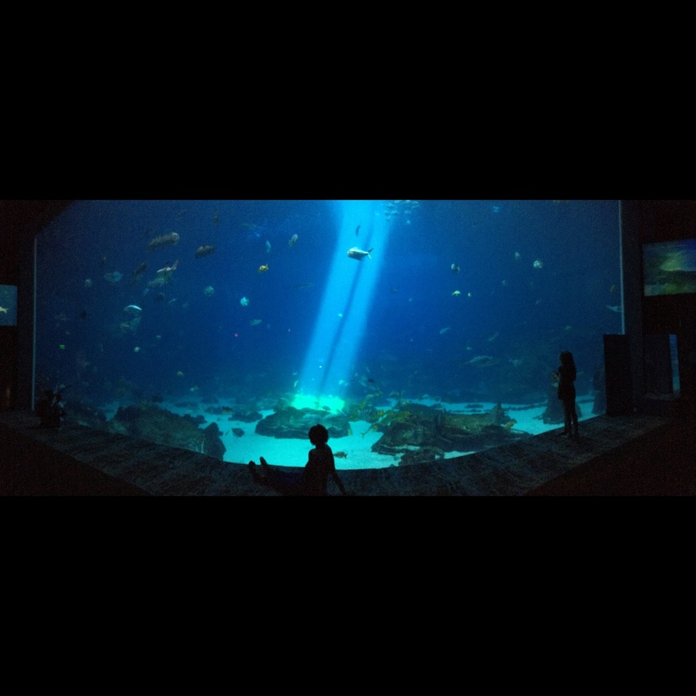 Meet your Posher, Candace - Picture 2 of 2