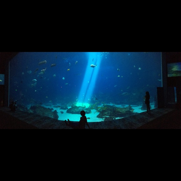 Meet your Posher, Candace - Picture 2 of 2