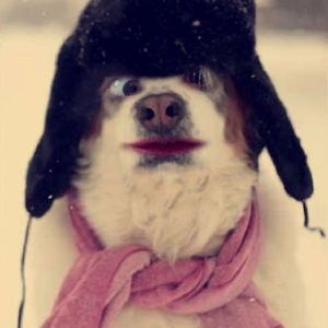 Meet your Posher, Caitlin