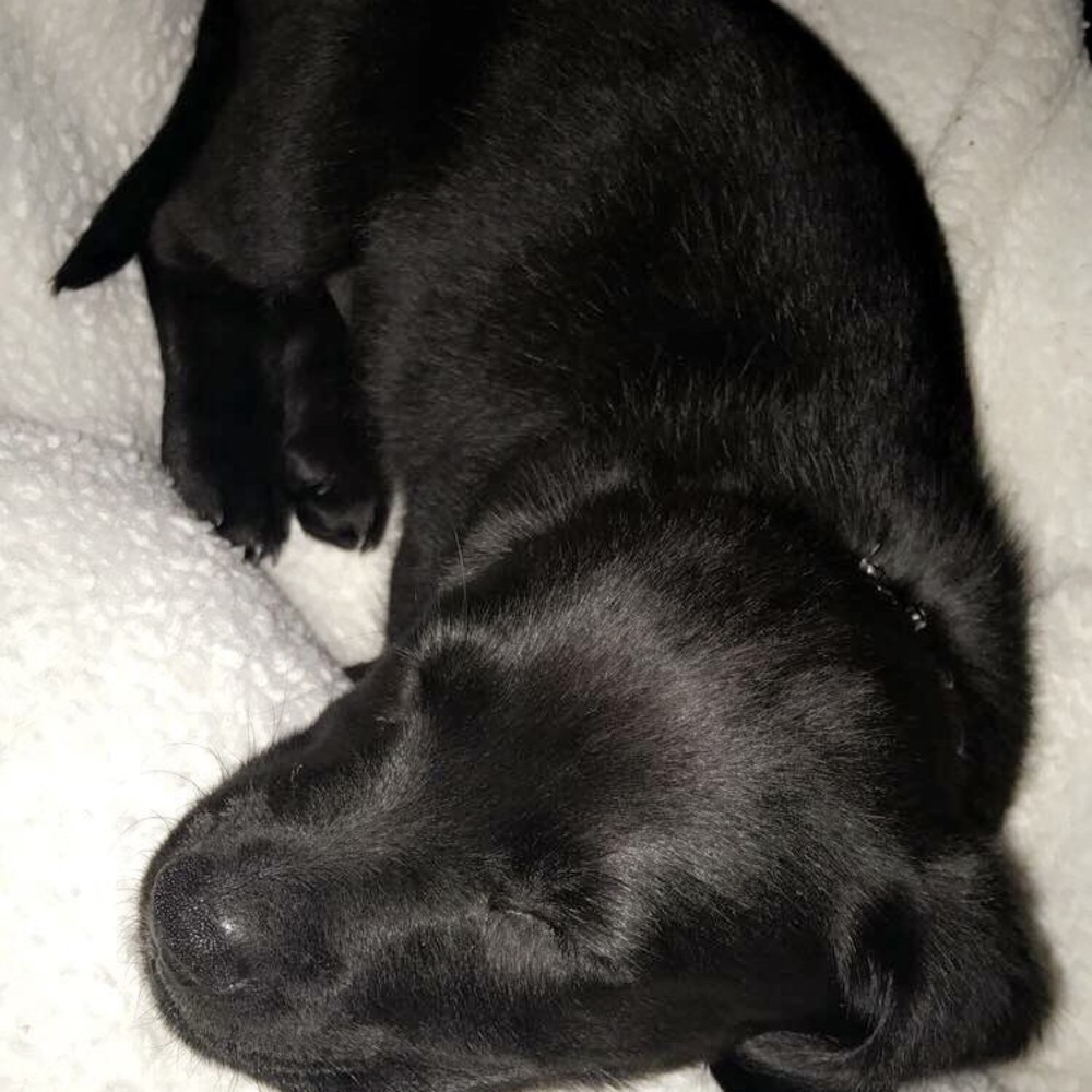Meet your Posher, Emma