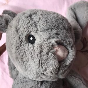 Cutest softest bunny!!