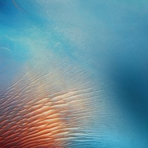 Meet your Posher, Marilyn