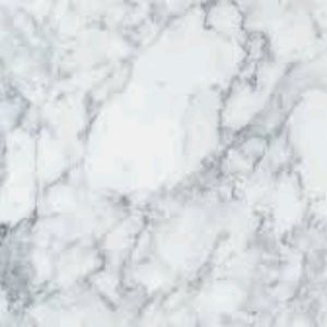 Meet your Posher, Audrey