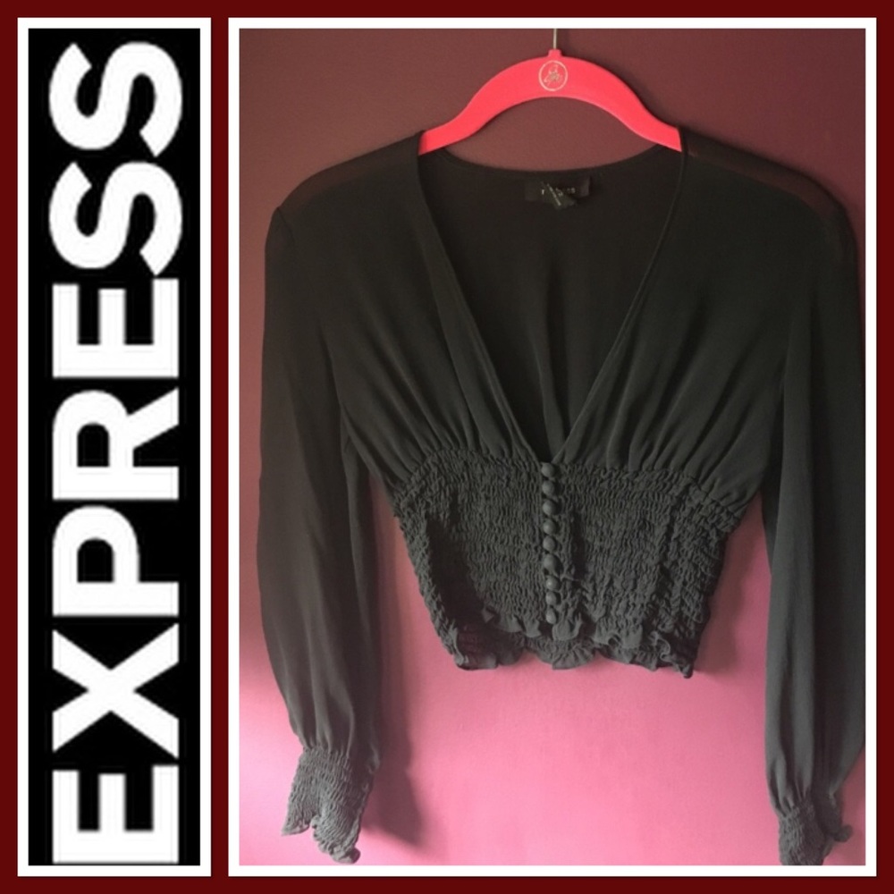 Express Sheer top