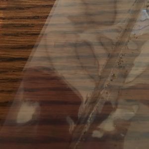 Meet your Posher, Joy