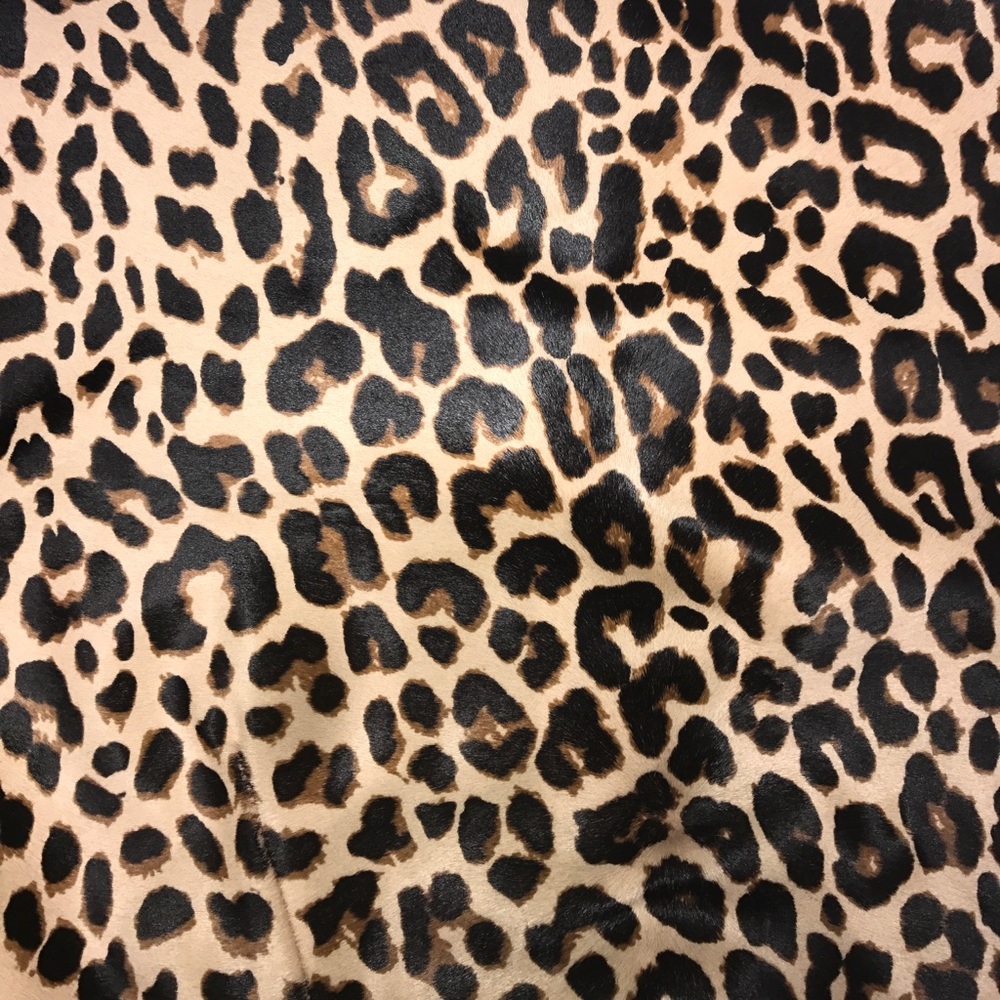 Meet your Posher, Charlotte