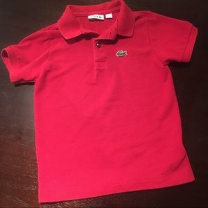 Lacoste polo for boys