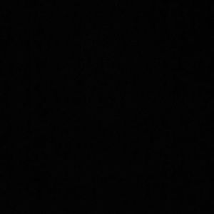 Meet your Posher, Daisha