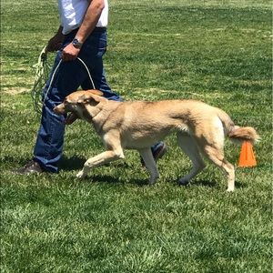 Meet your Posher, Shannon