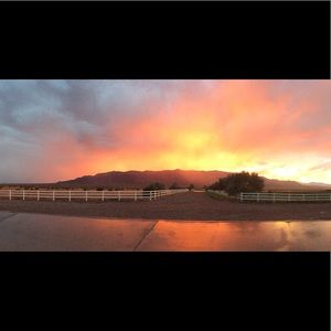 Meet your Posher, Carolanne