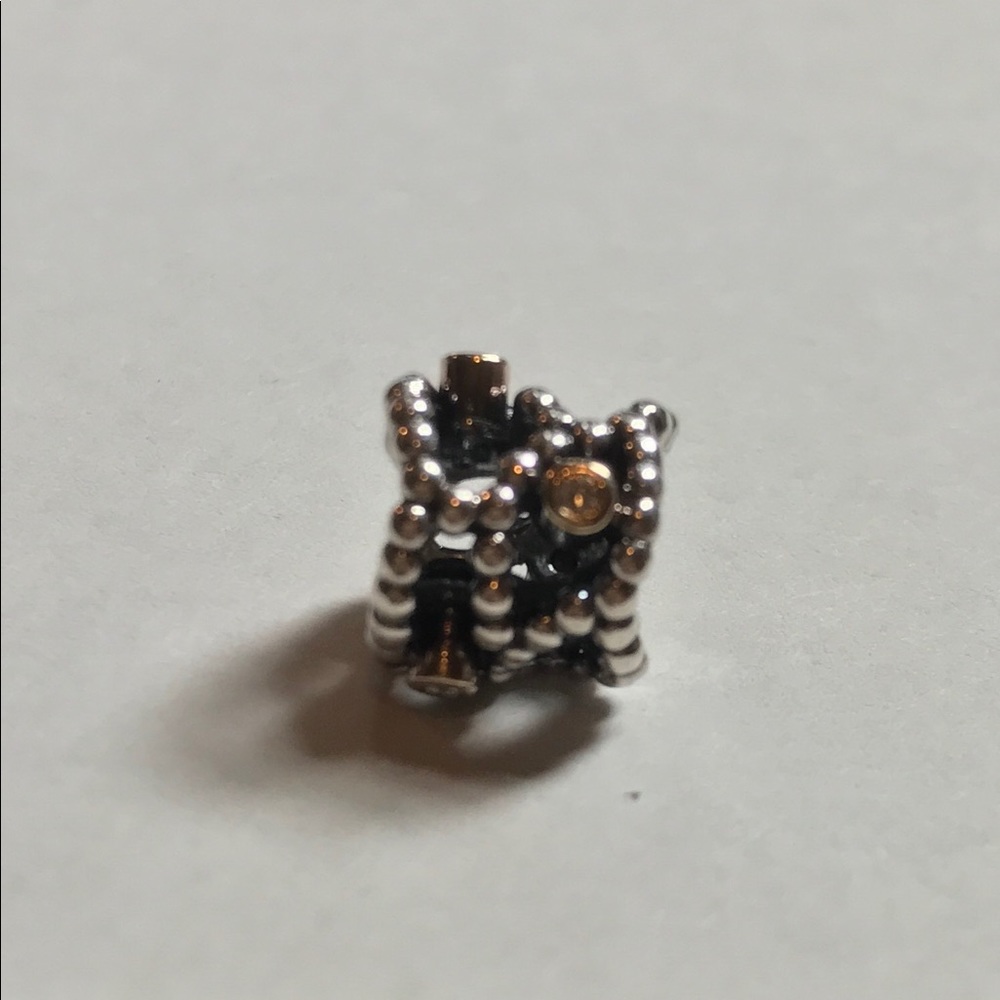 RETIRED Pandora Charm
