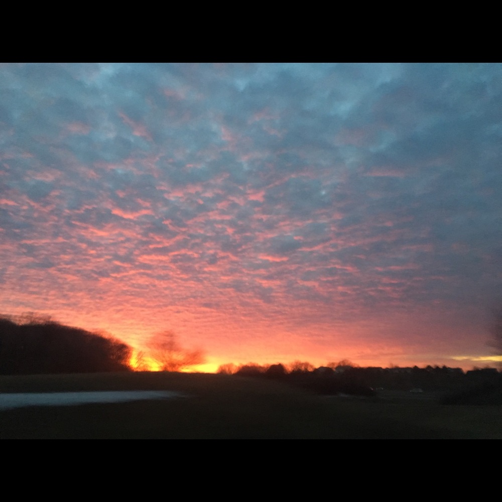 Meet your Posher, Miriam