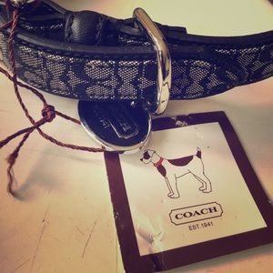 Coach dog collar - small dog