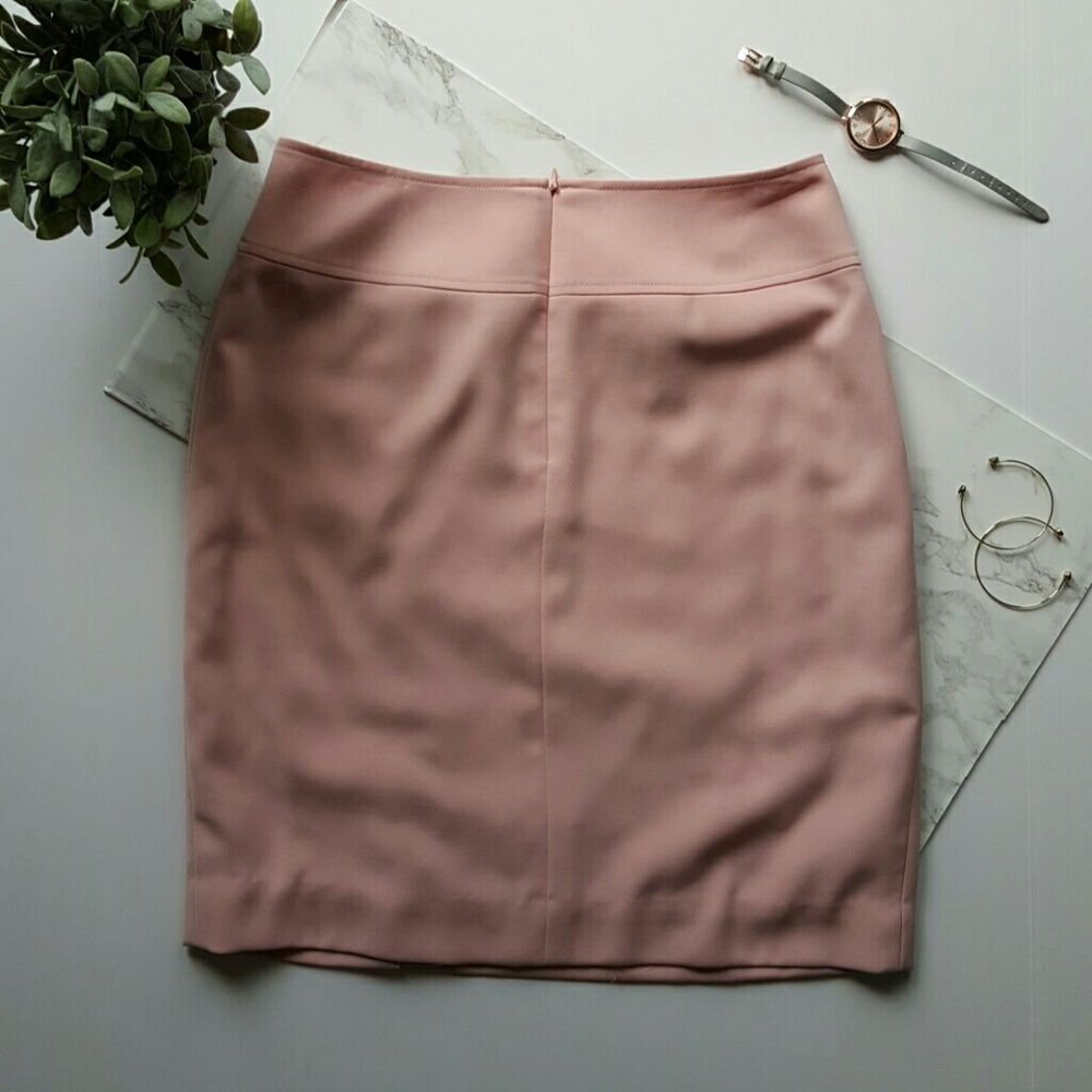Pink Skirt - Picture 2 of 3