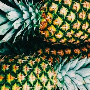 Meet your Posher, Bailey