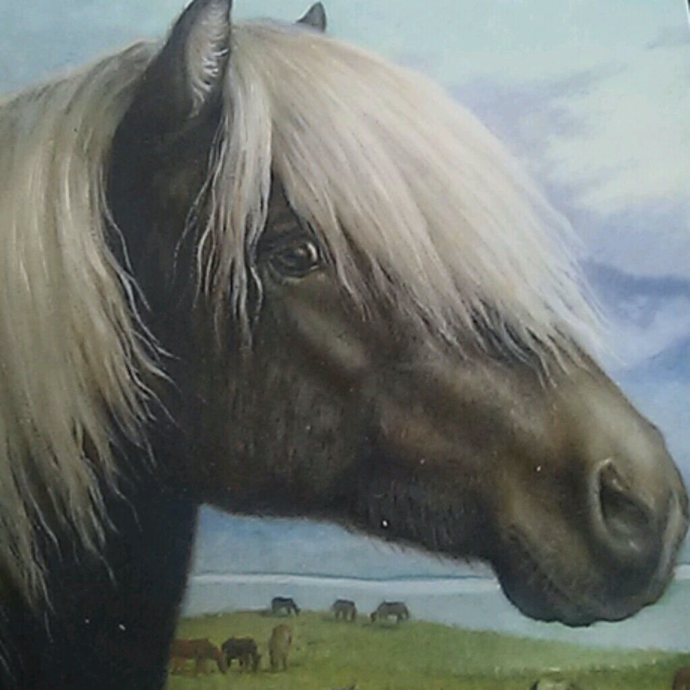 Meet your Posher, Macy