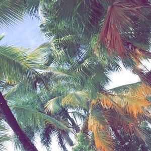 Meet your Posher, Ever