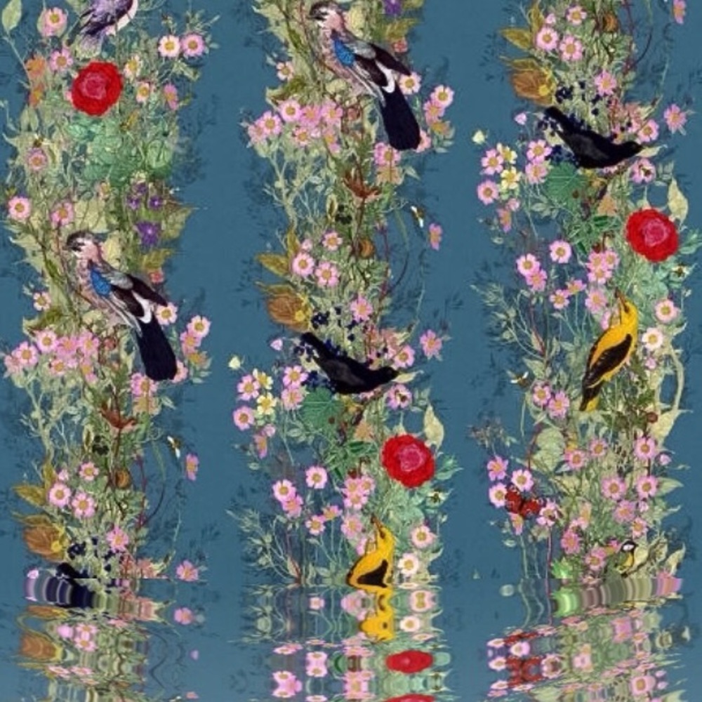 Meet your Posher, Ann