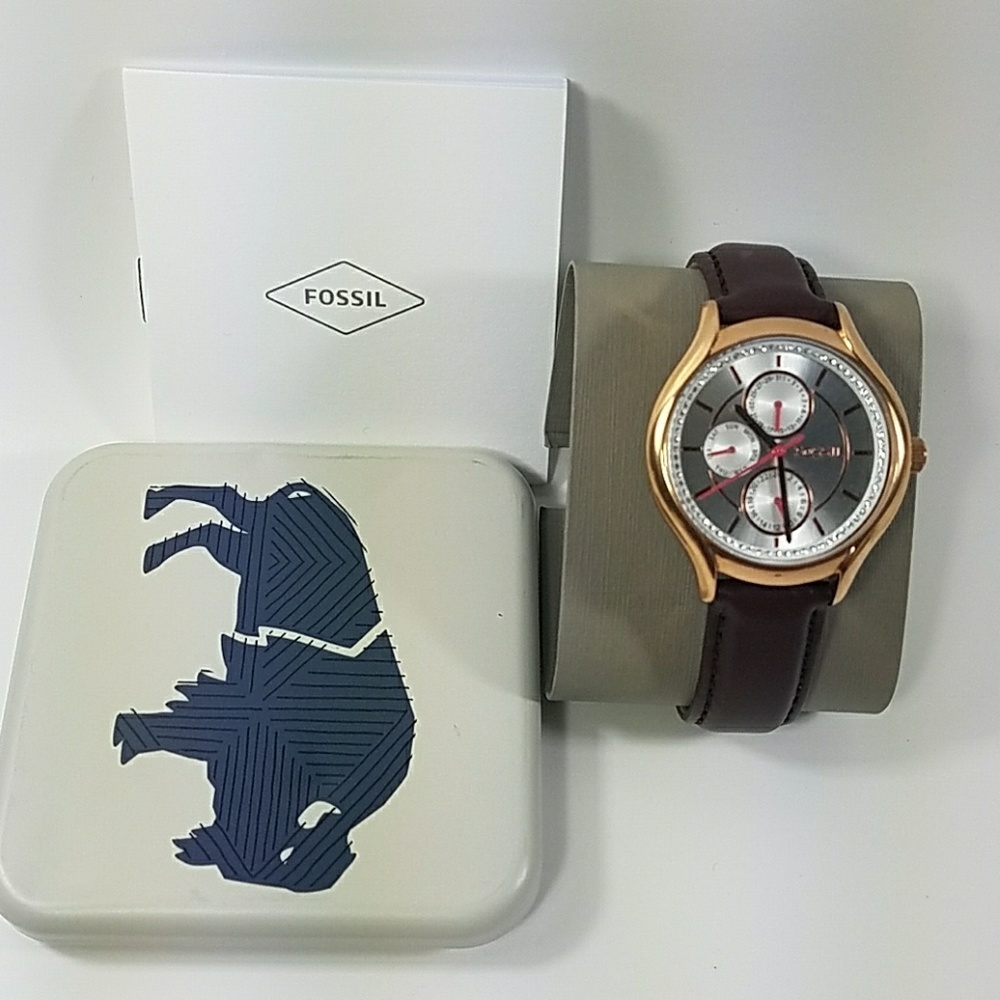FOSSIL WATCH