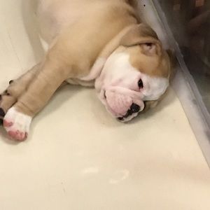 Meet your Posher, Jennifer