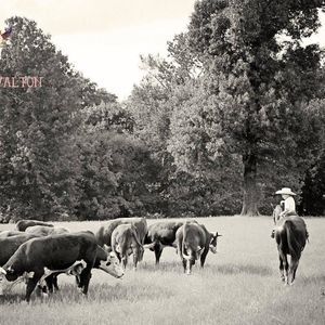 Meet your Posher, Salena