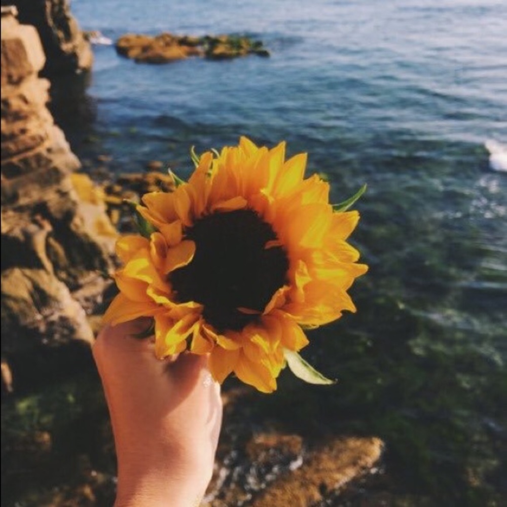 Meet your Posher, Neida