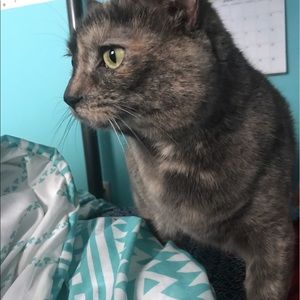 Meet your Posher, Felicity
