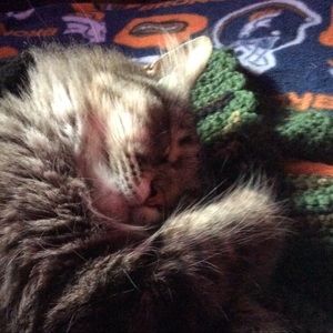 Meet your Posher, Eden